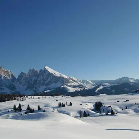 Camera Alpe Di Siusi Aparthotel *